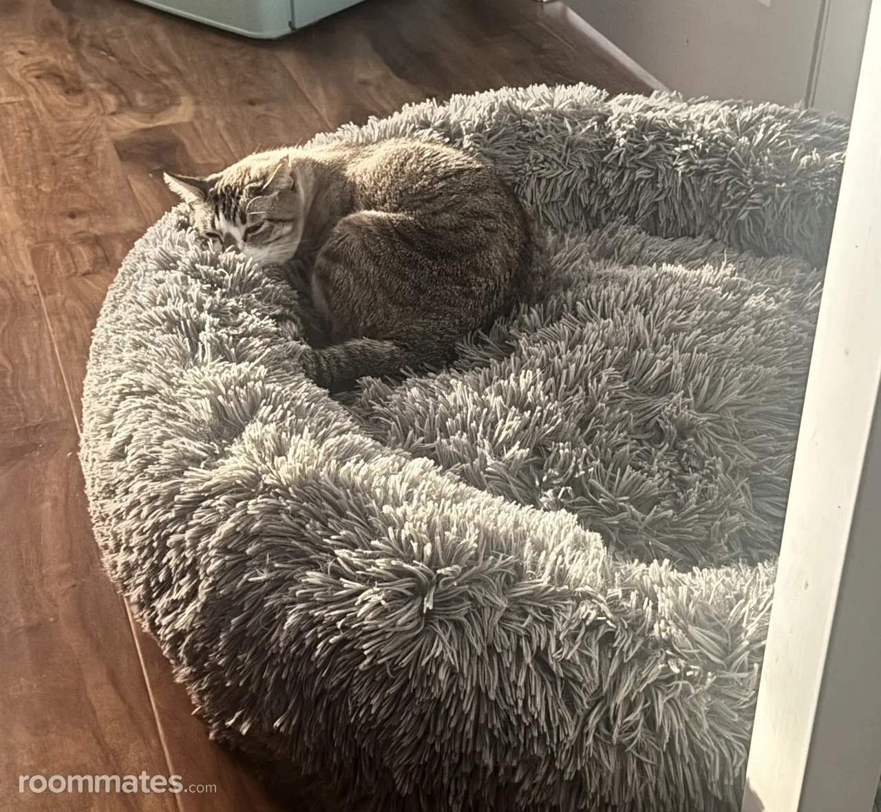 Profile photo 2 of 2