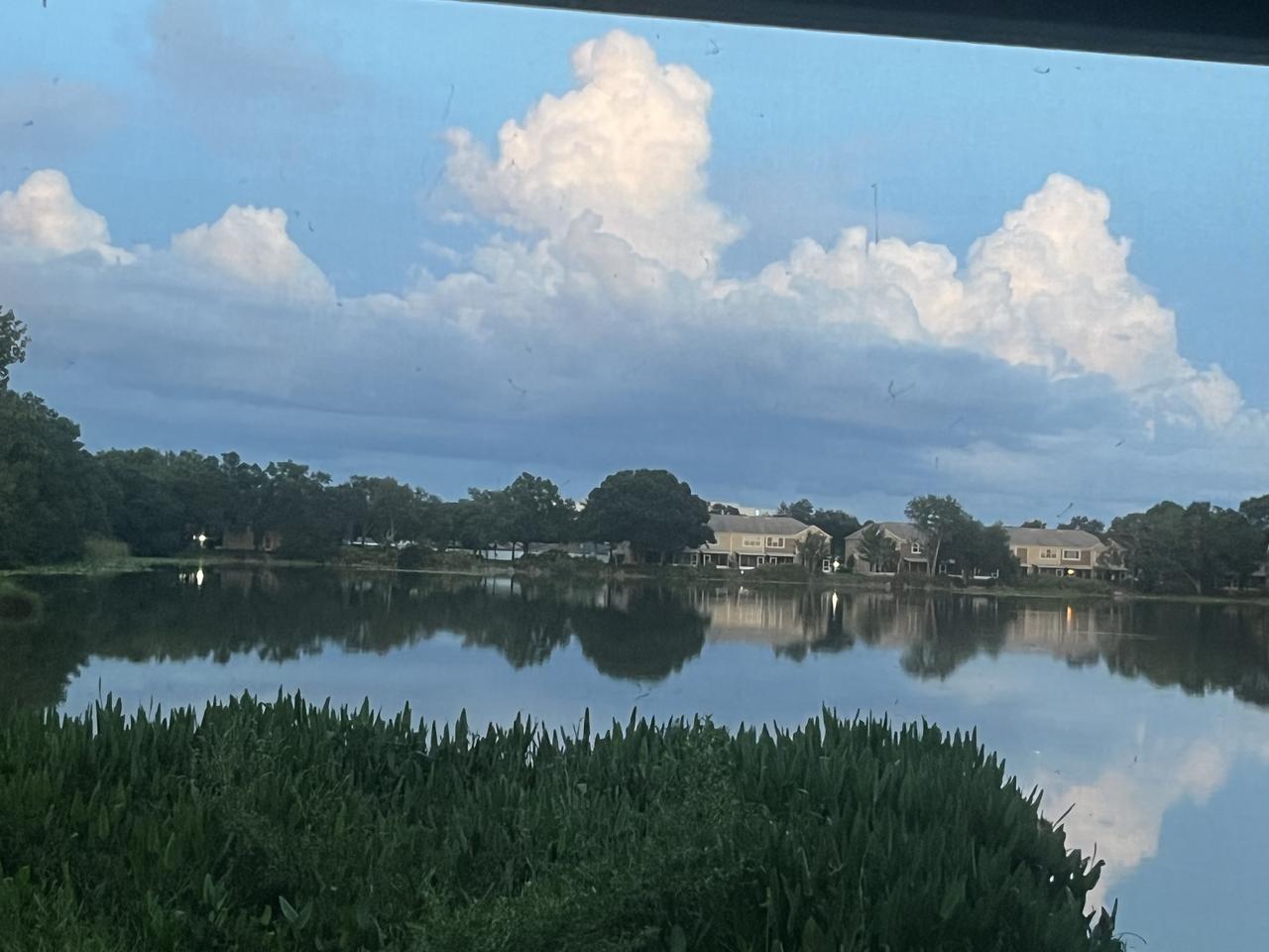 Profile photo 8 of 18