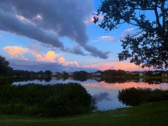 Room for rent in Tampa, FL $1750, condo