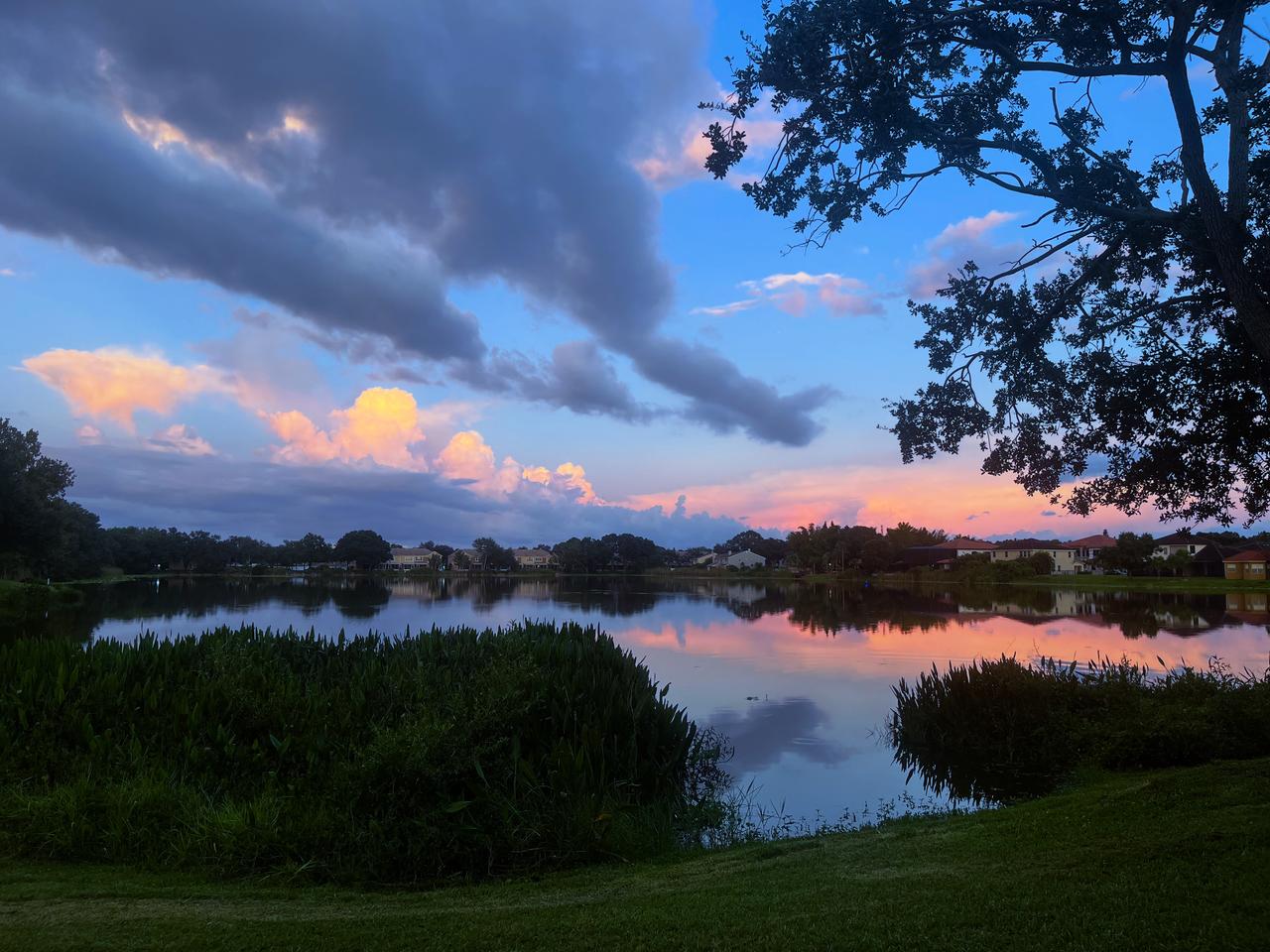 Profile photo 1 of 18