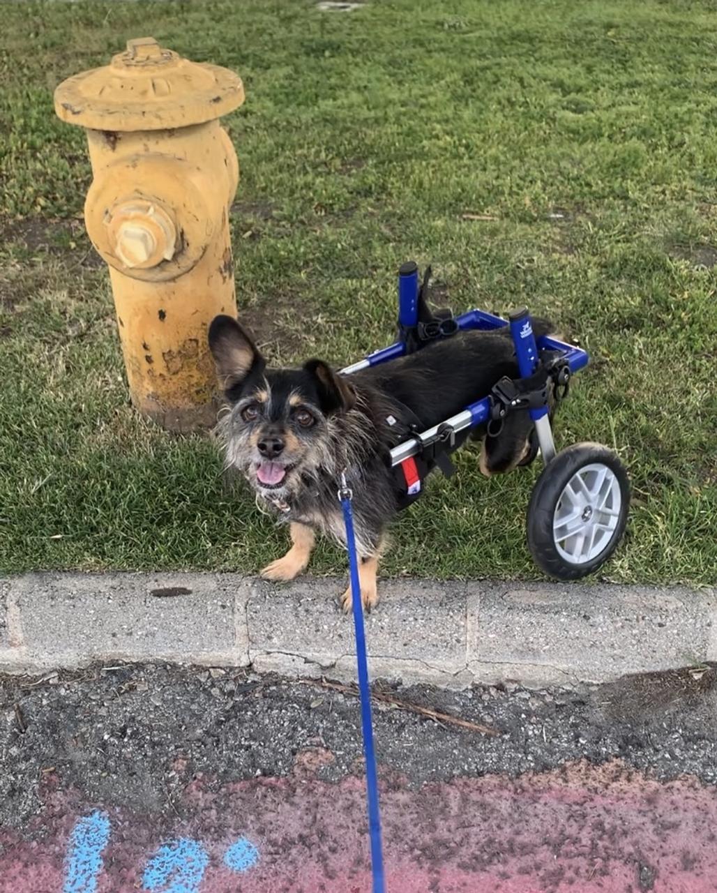 Profile photo 11 of 15