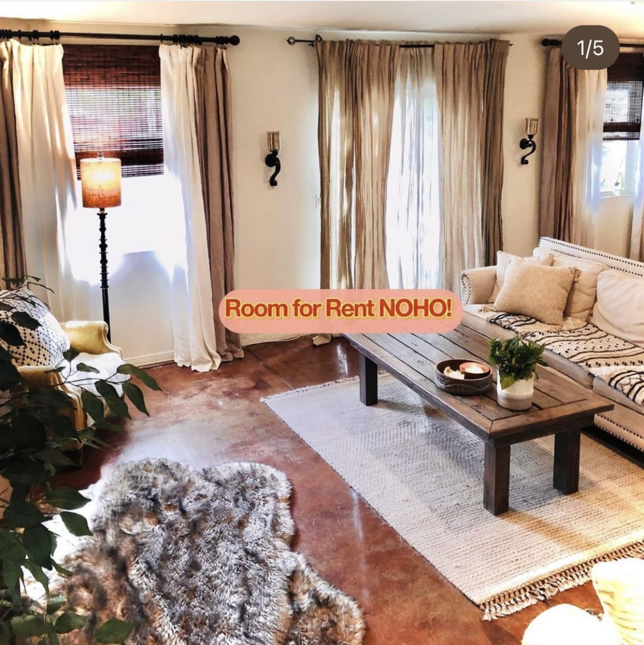 Profile photo 2 of 15