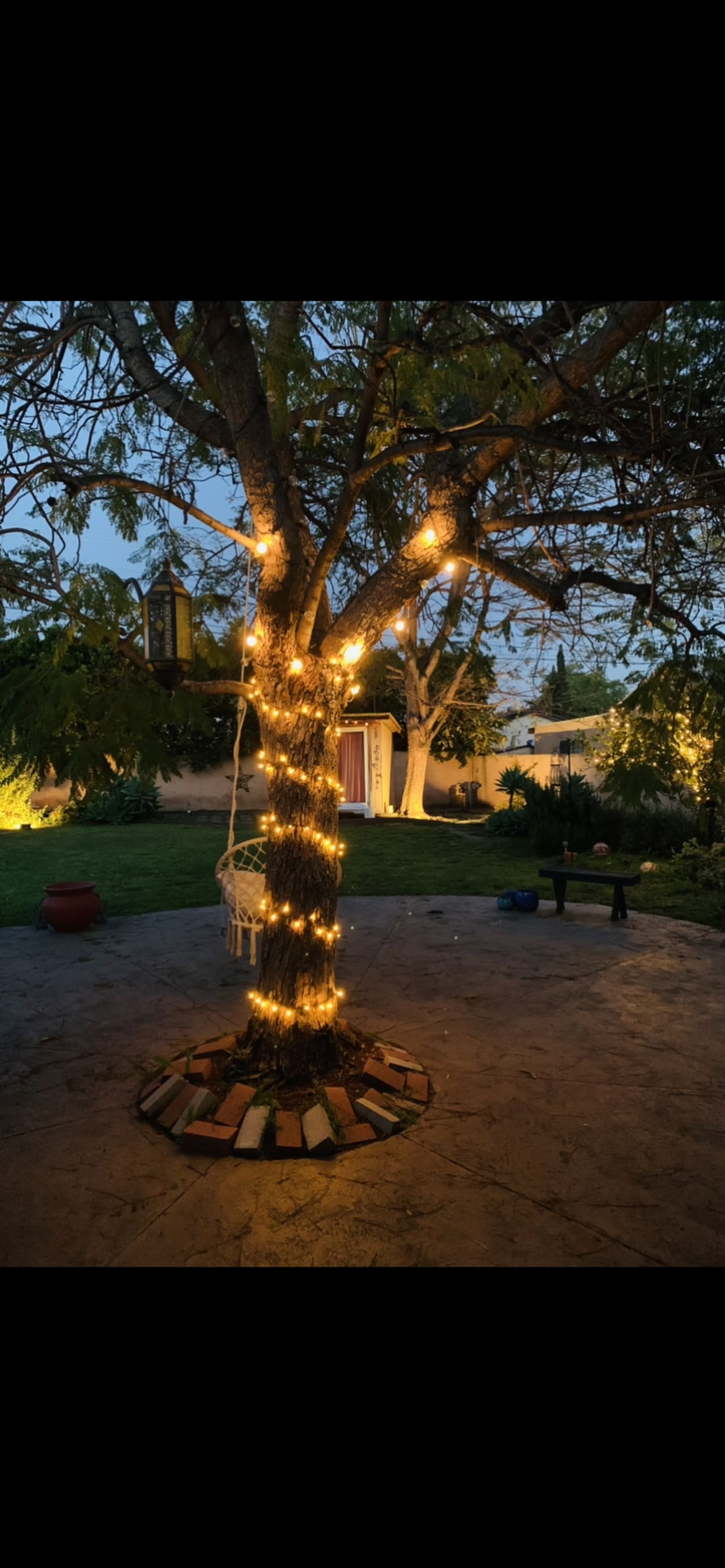 Profile photo 6 of 15