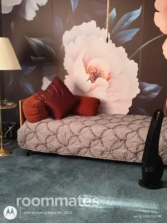 Room for rent in Plain City, OH $550, other