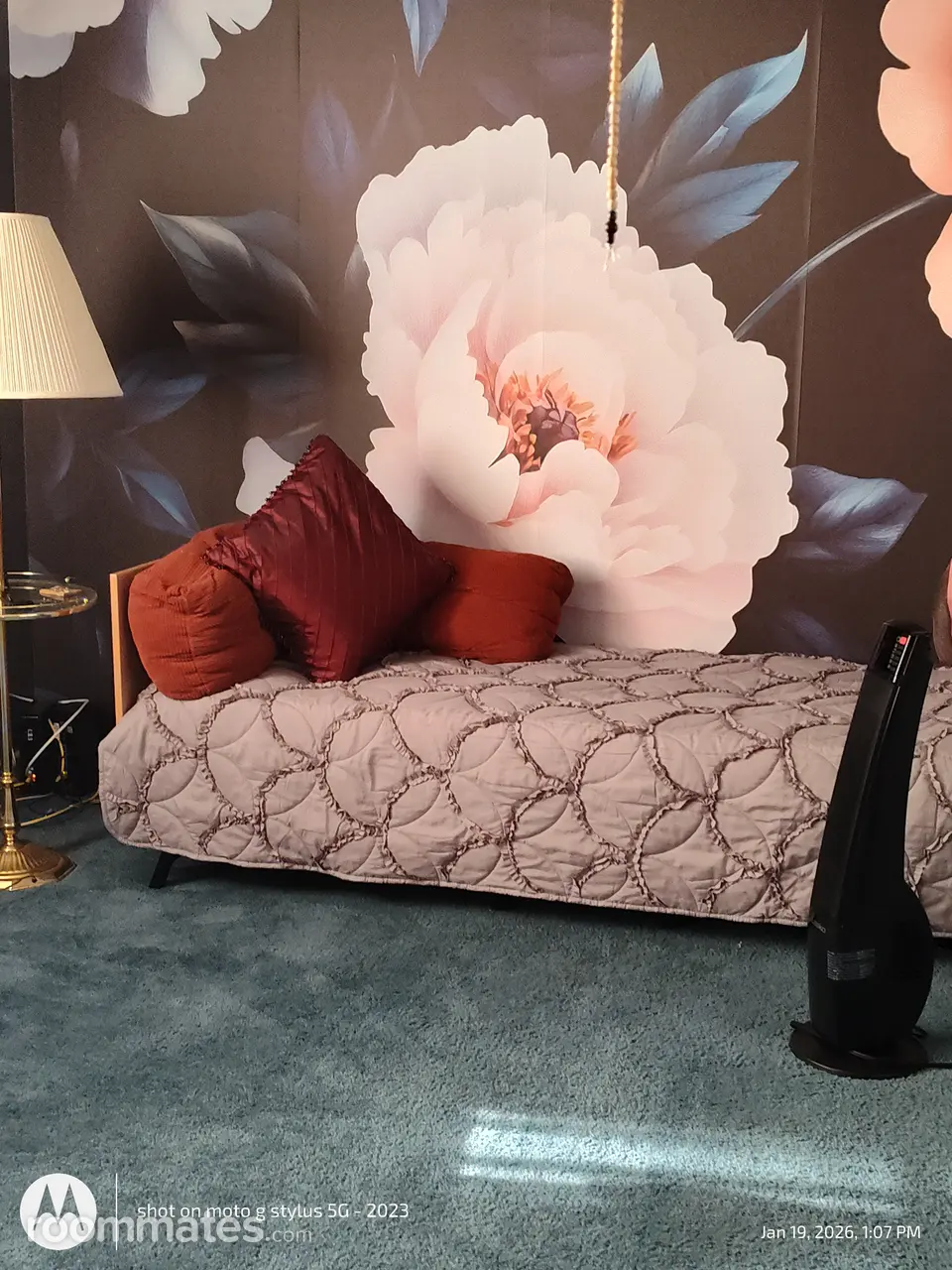 Profile photo 4 of 5