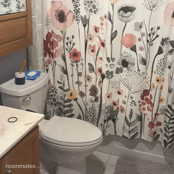 Room for rent in Schaumburg, IL $950, house