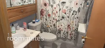 Room for rent in Schaumburg, IL $950, house