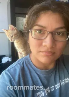 Roommate looking Coppell, TX, $600