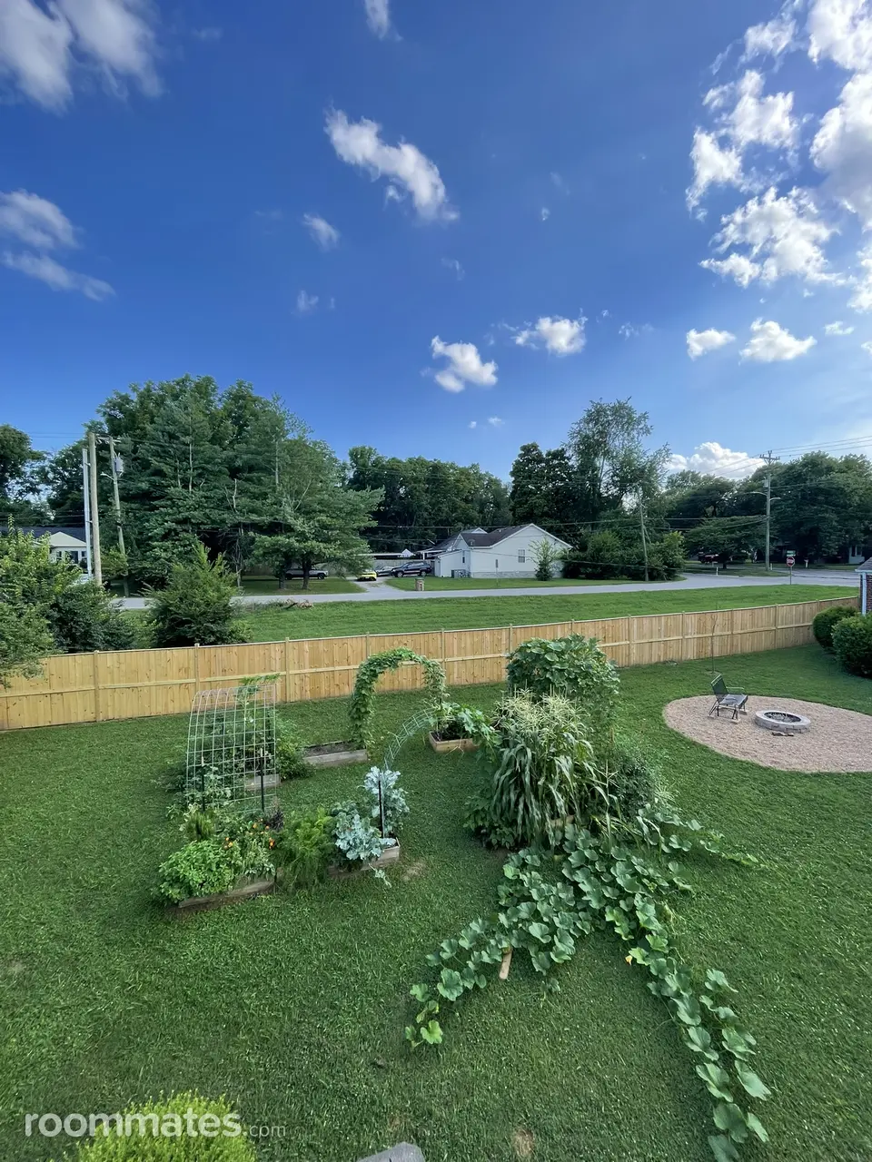 Profile photo 8 of 18