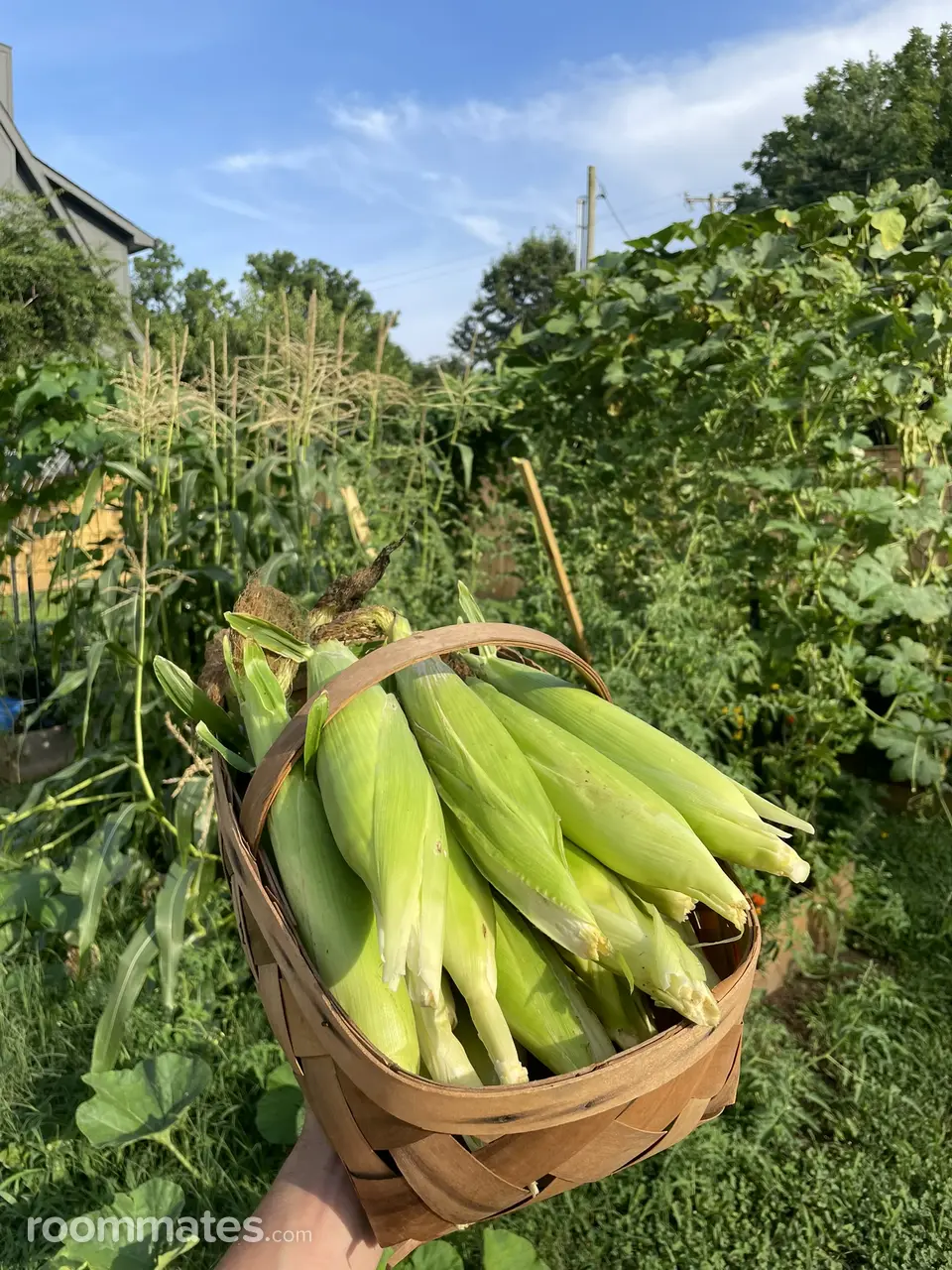 Profile photo 16 of 18