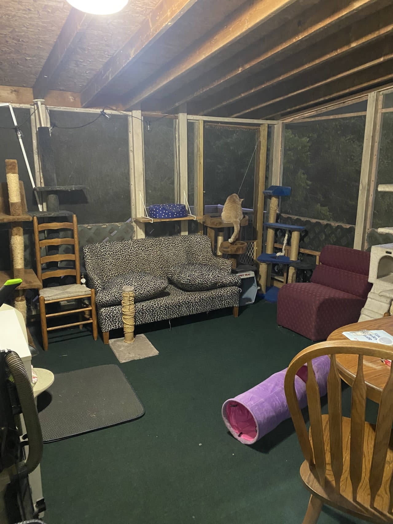 Profile photo 3 of 4