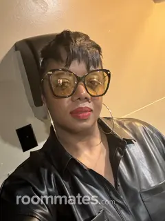 Roommate looking Plano, TX, $700