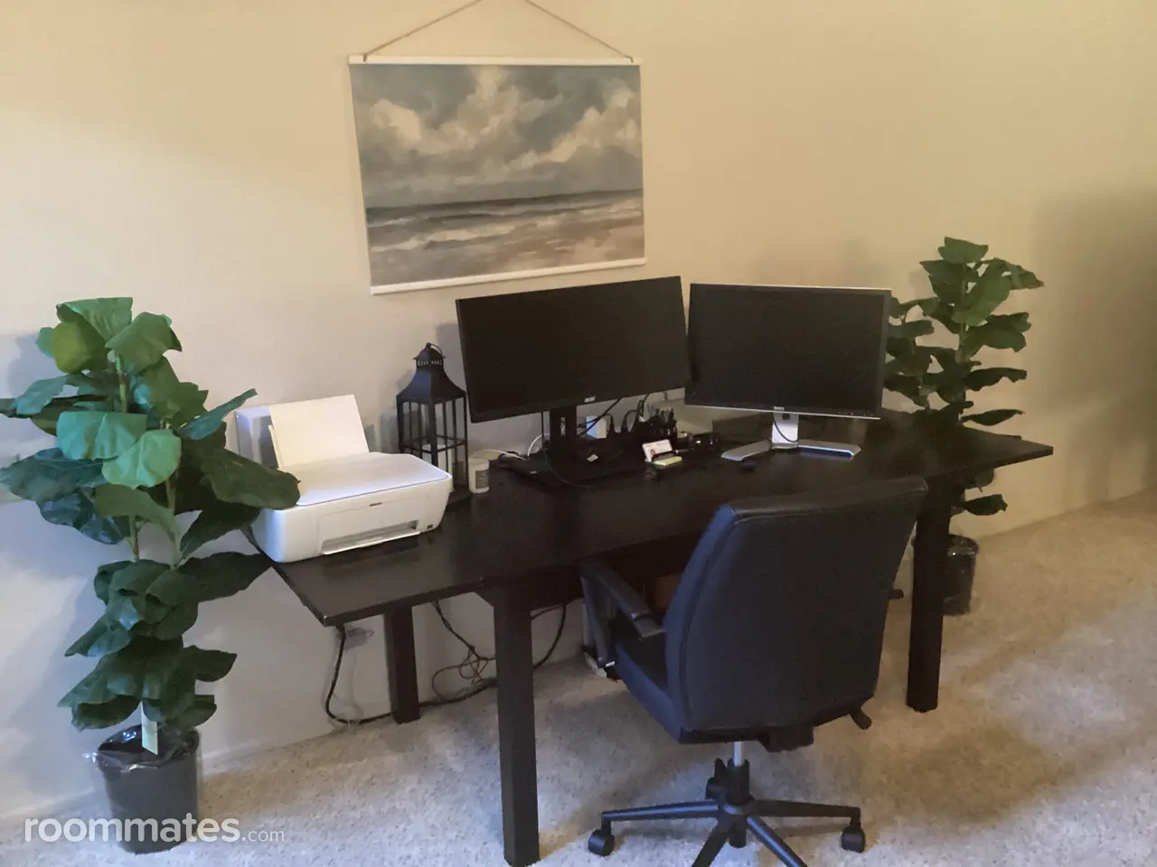 Profile photo 4 of 8