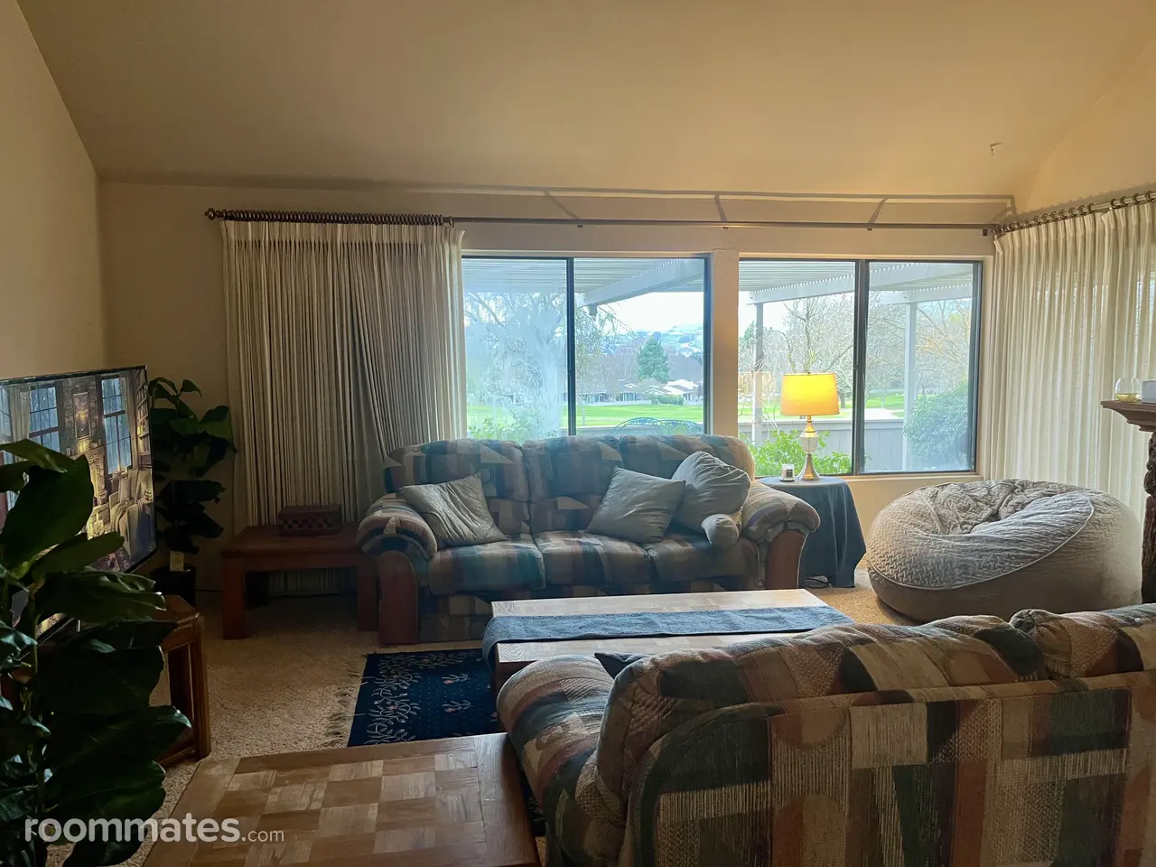 Profile photo 5 of 8