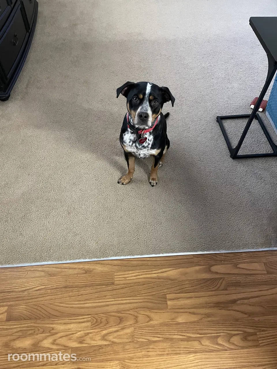 Profile photo 5 of 5