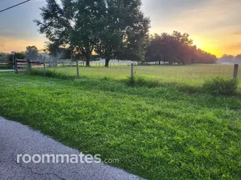 Room for rent in Gainesville, FL $580, condo