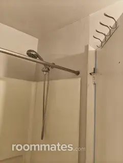Room for rent in Gainesville, FL $580, condo