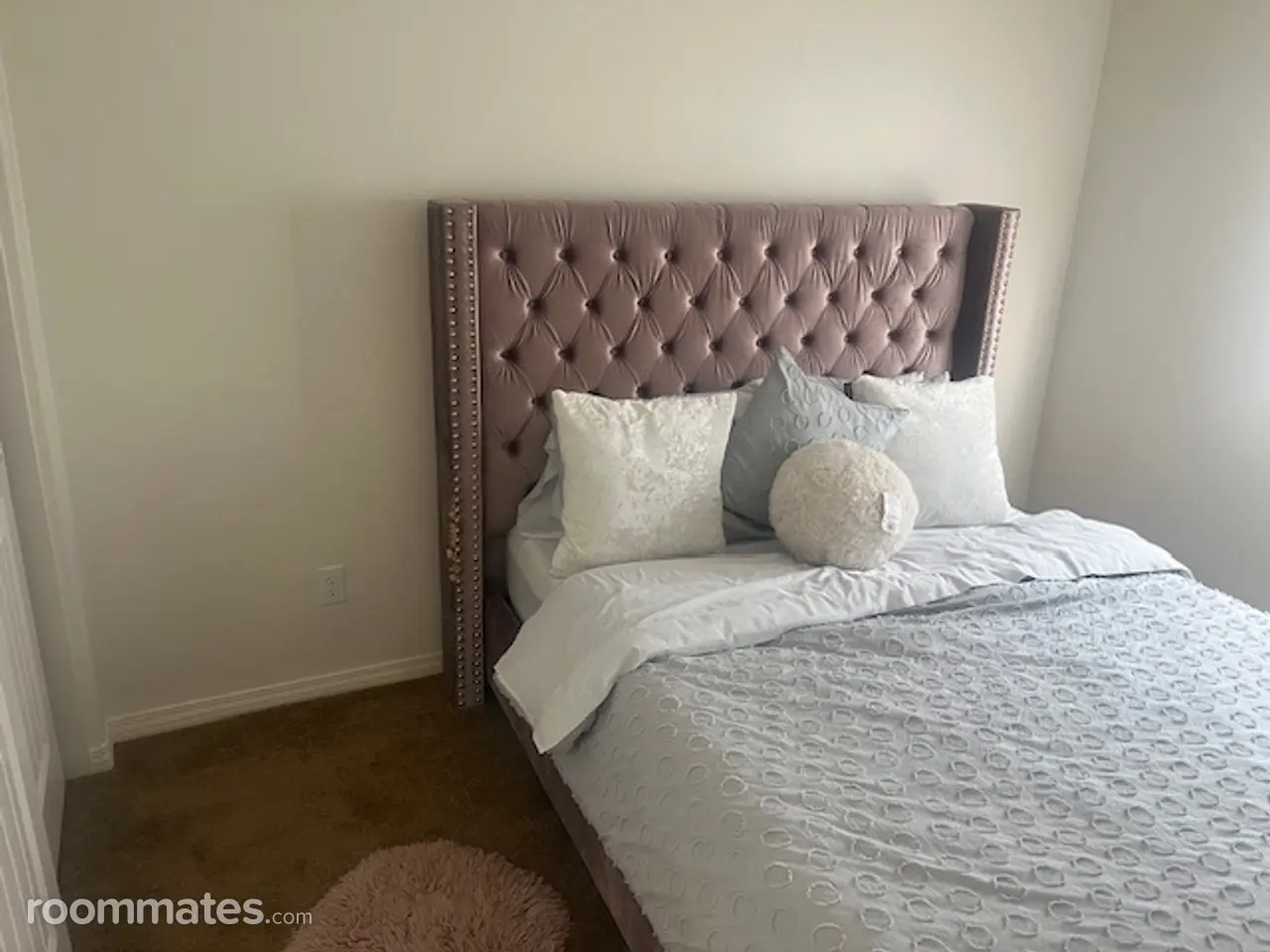 Profile photo 10 of 17