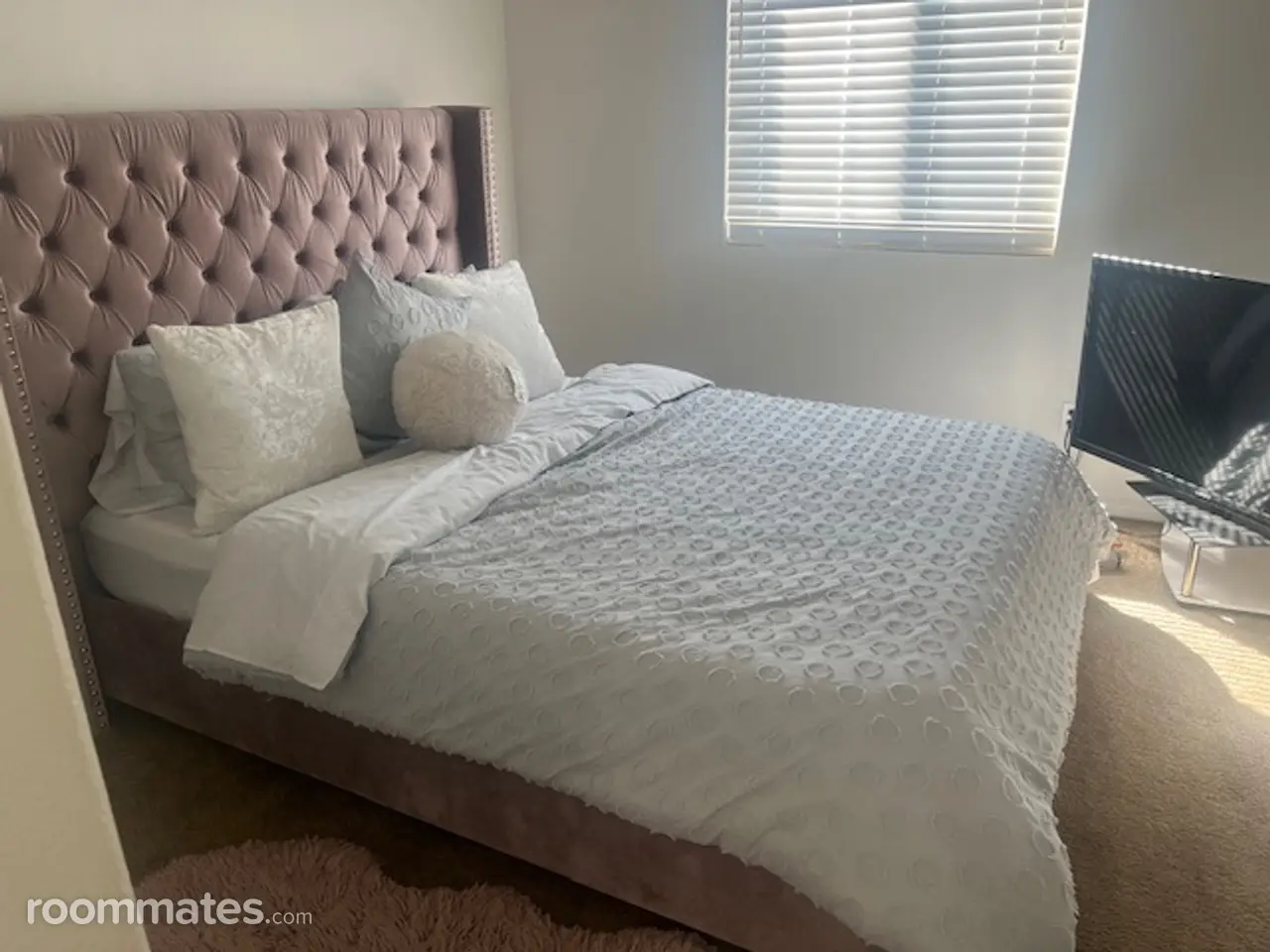 Profile photo 9 of 17