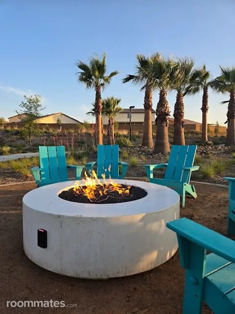 Profile photo 3 of 17