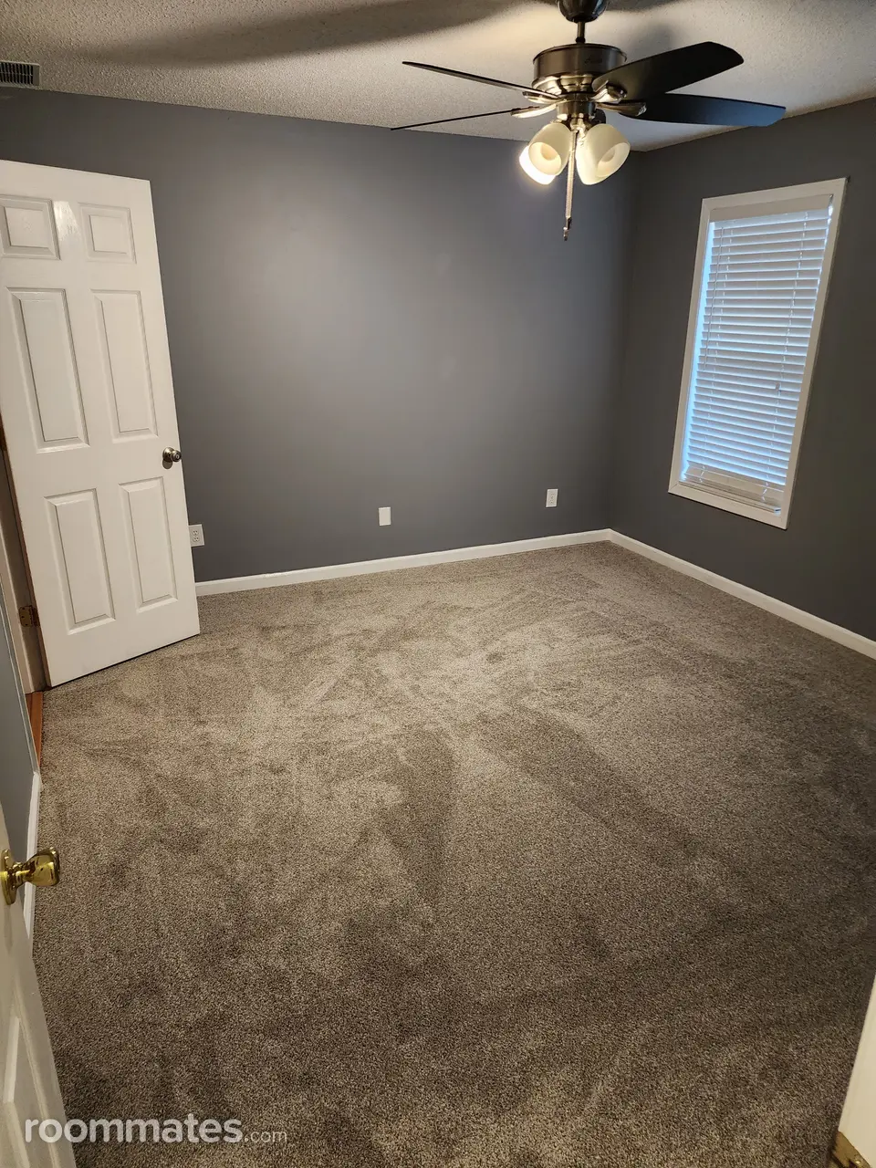 Profile photo 4 of 18