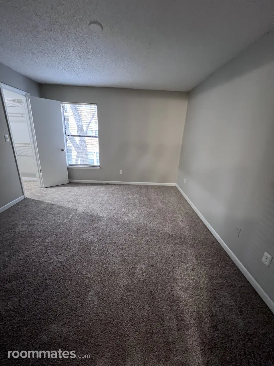 Profile photo 2 of 9