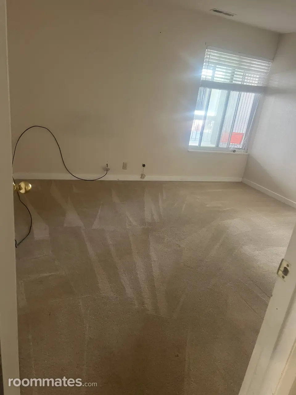 Profile photo 2 of 6