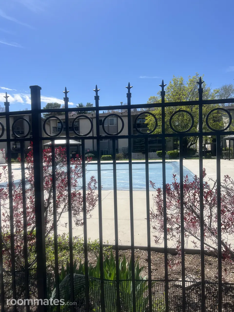 Profile photo 5 of 6