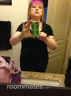 Roommate looking Albany, NY, $900