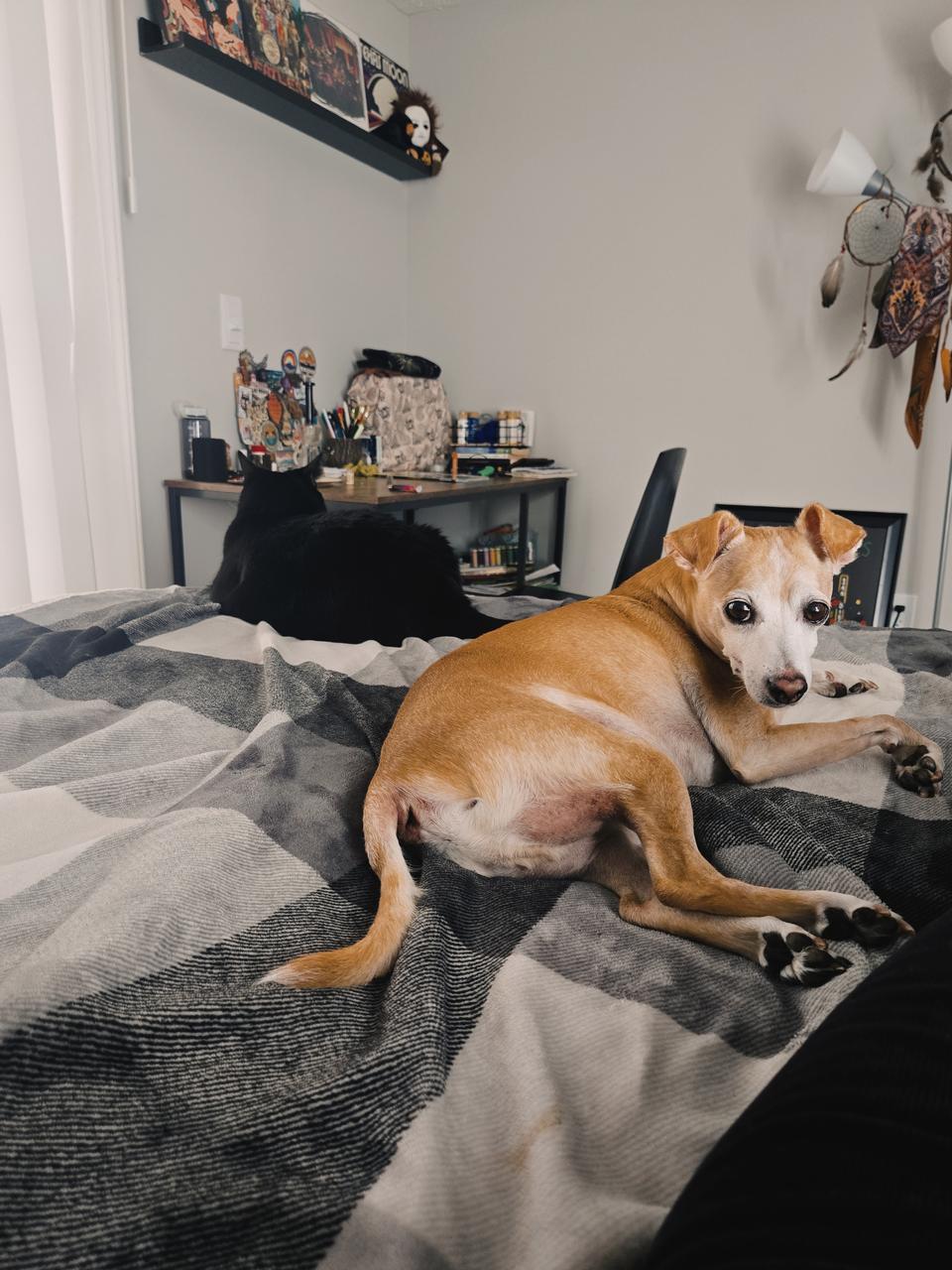 Profile photo 2 of 2