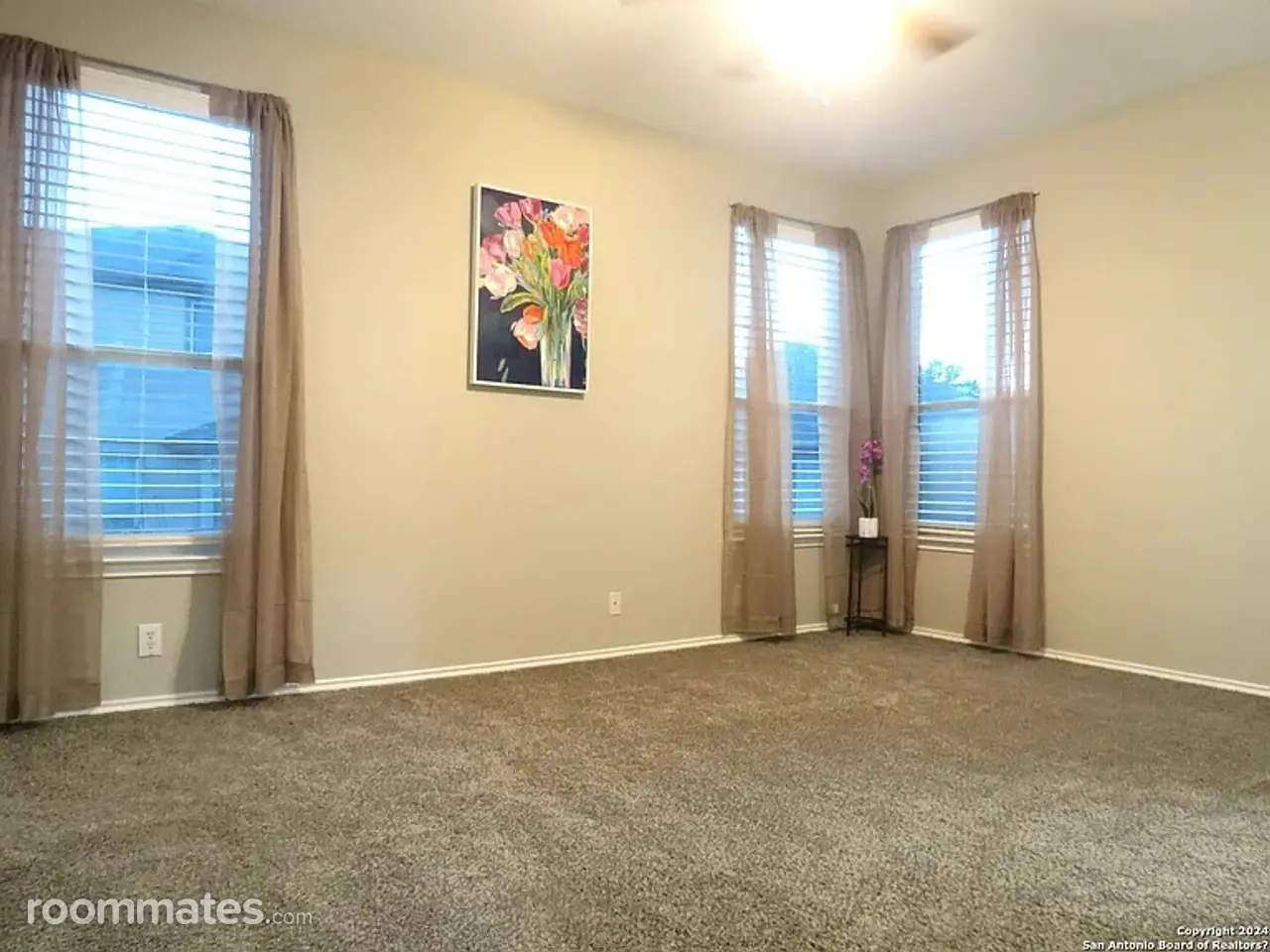 Profile photo 3 of 5