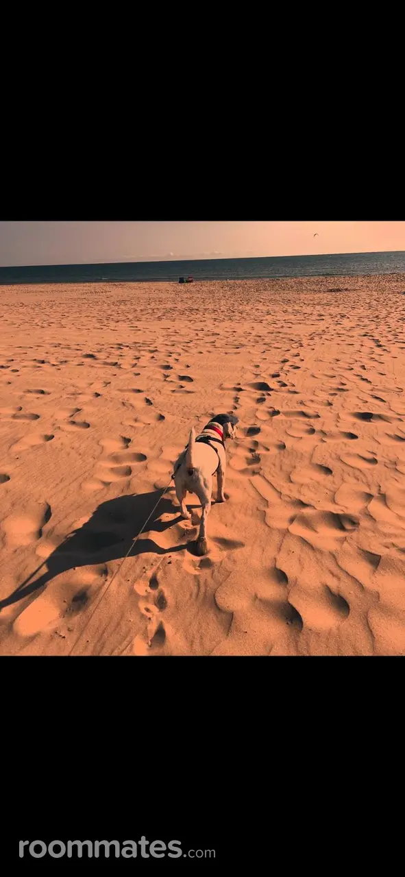 Profile photo 3 of 5