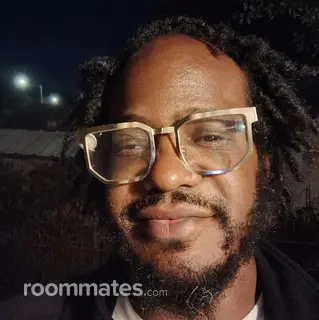 Roommate looking Pittsburgh, PA, $600