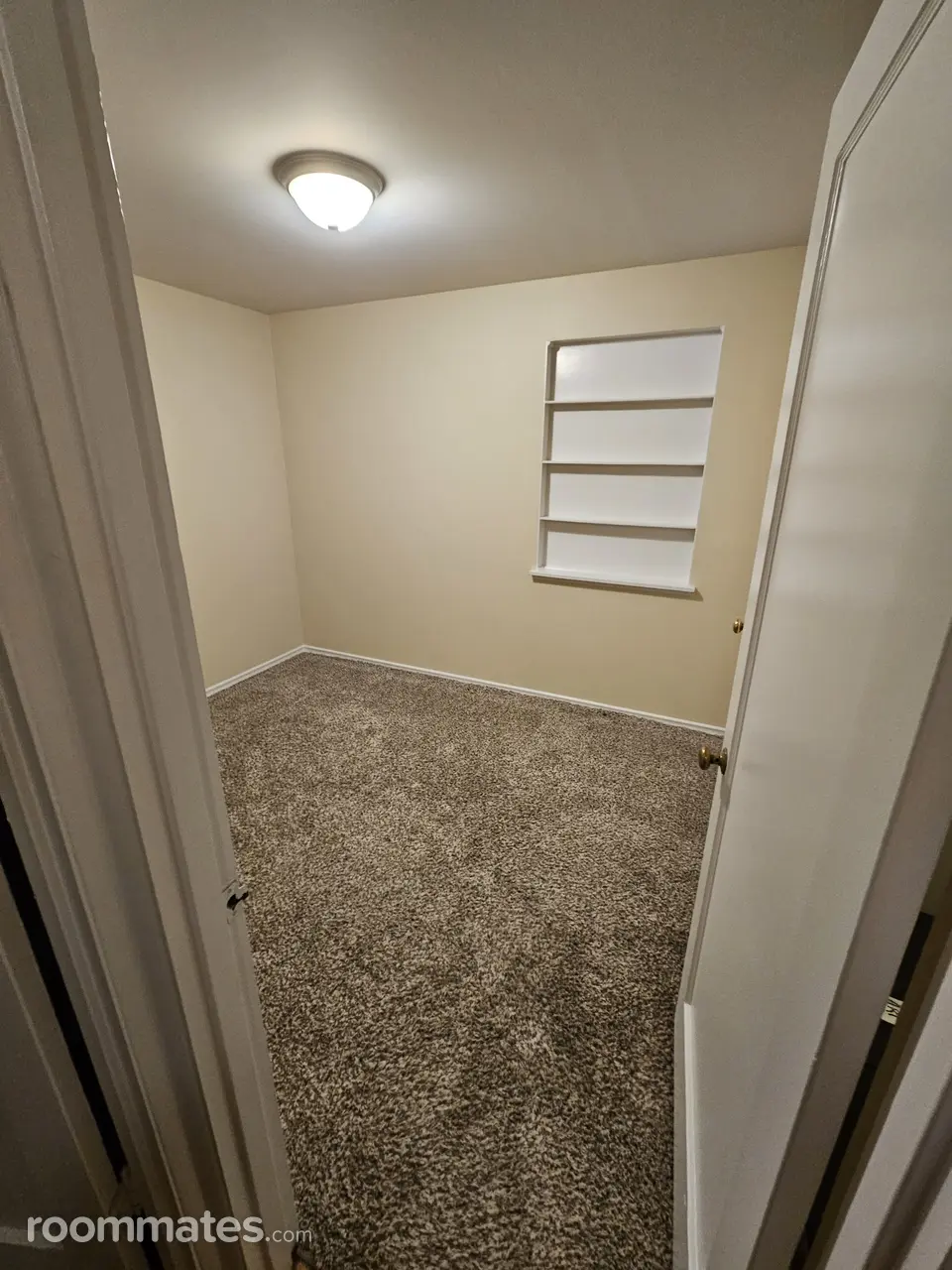 Profile photo 7 of 11