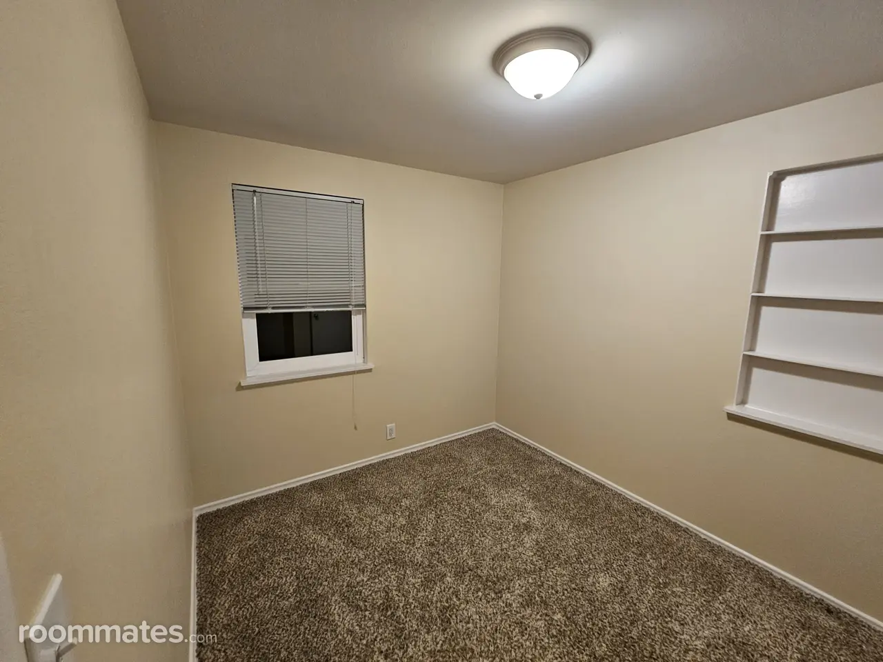 Profile photo 6 of 11