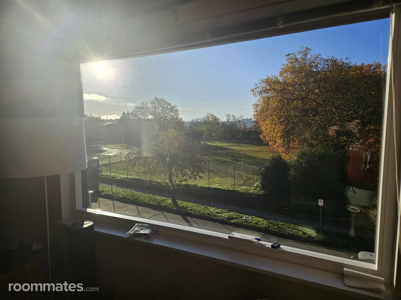 Profile photo 4 of 11