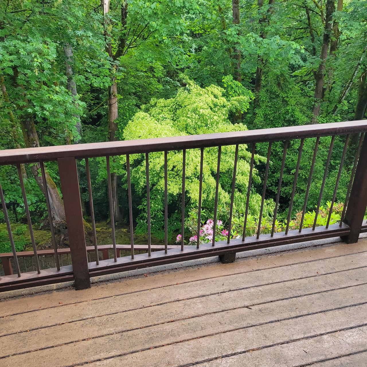 Profile photo 3 of 5