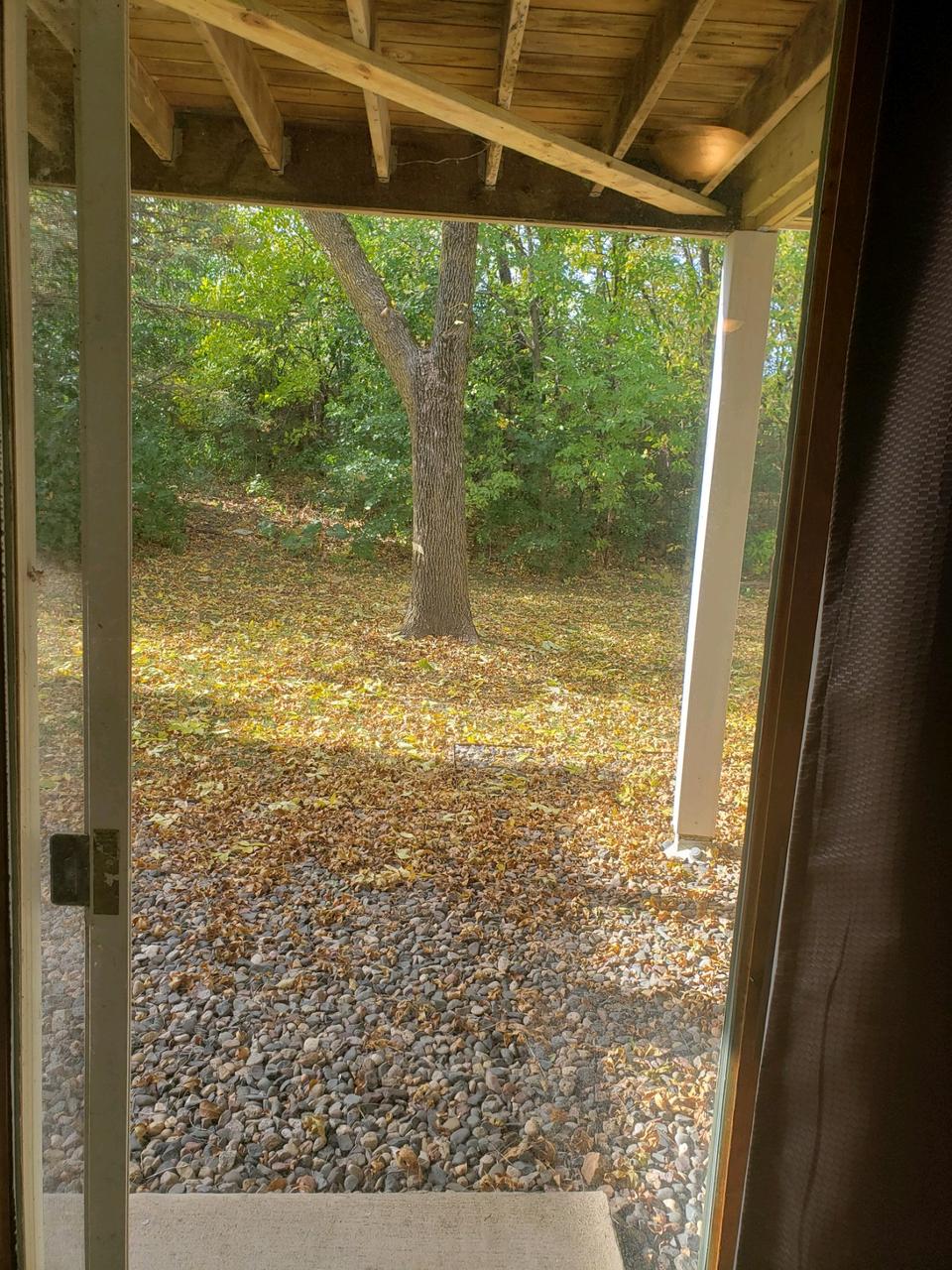 Profile photo 4 of 11