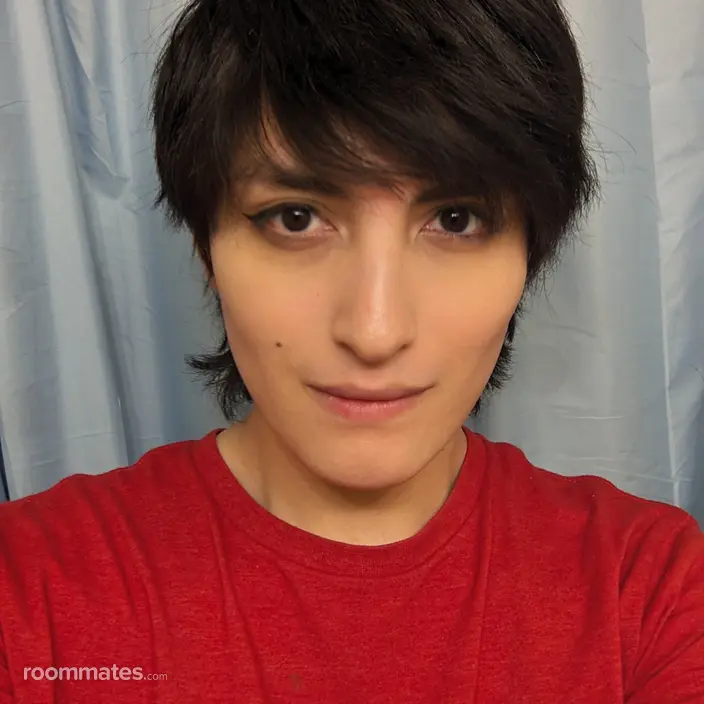 Roommate looking Hagerstown, MD, $1000