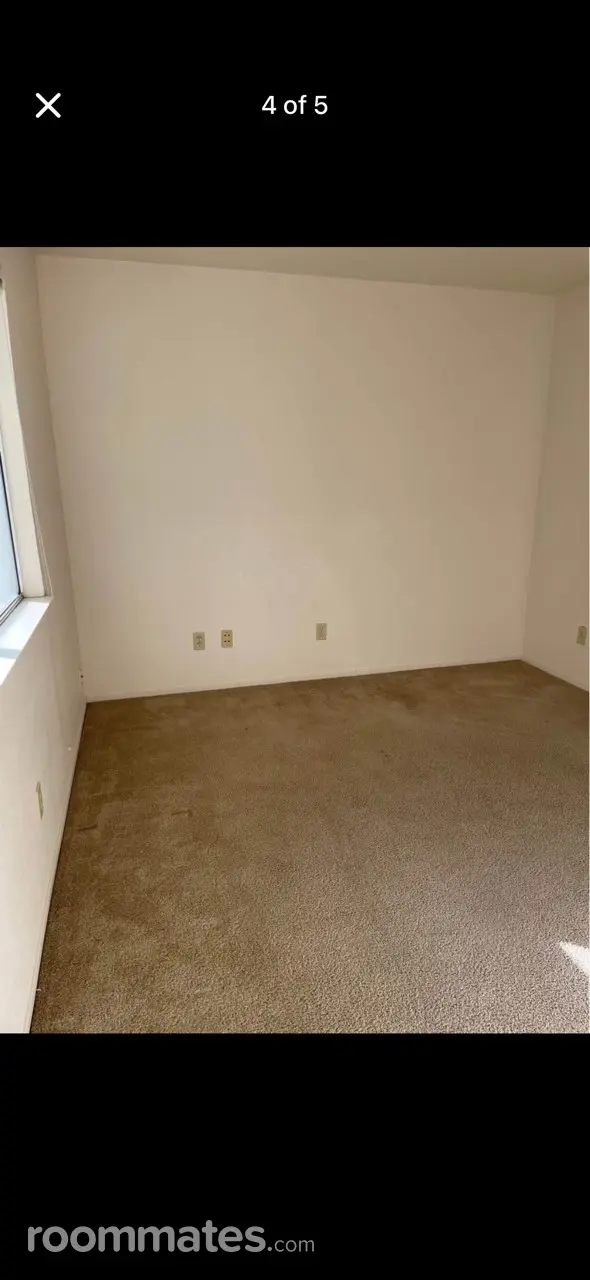 Profile photo 2 of 6