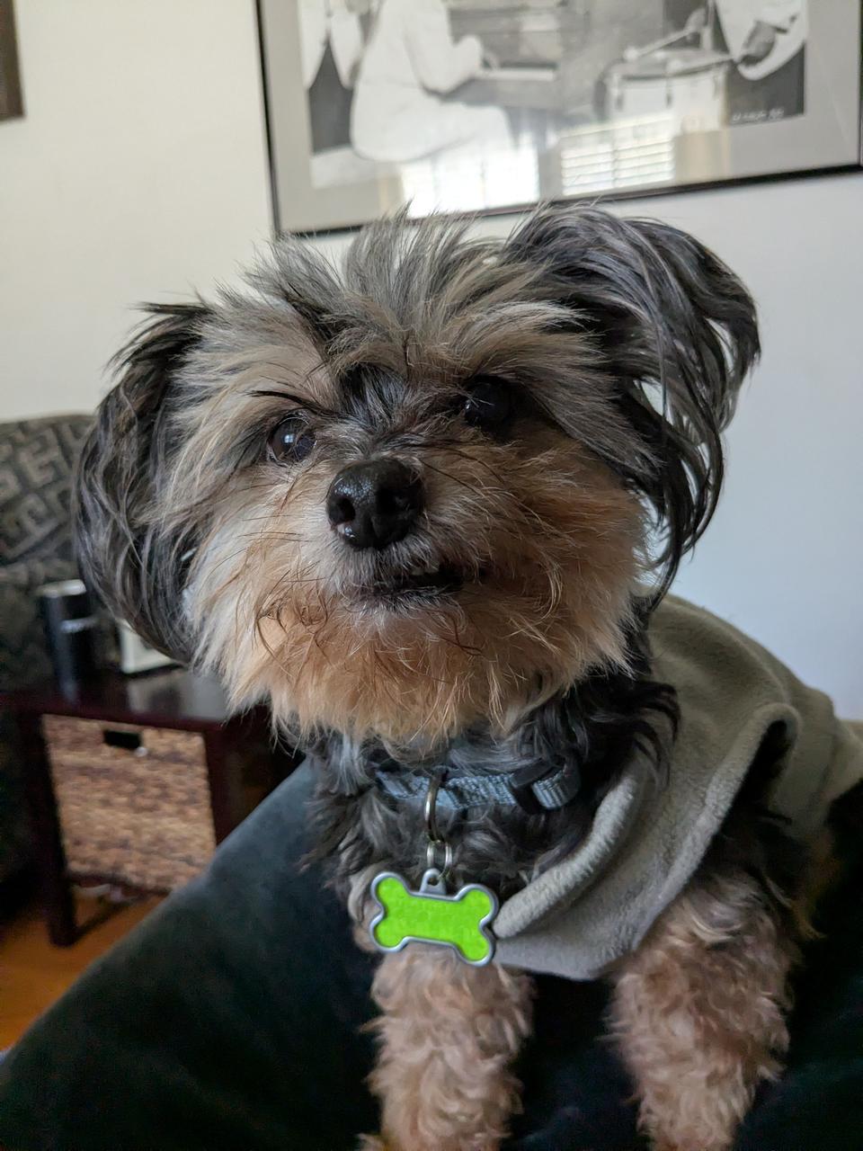 Profile photo 5 of 5