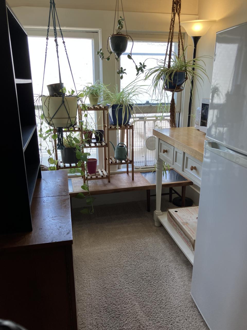 Profile photo 5 of 6