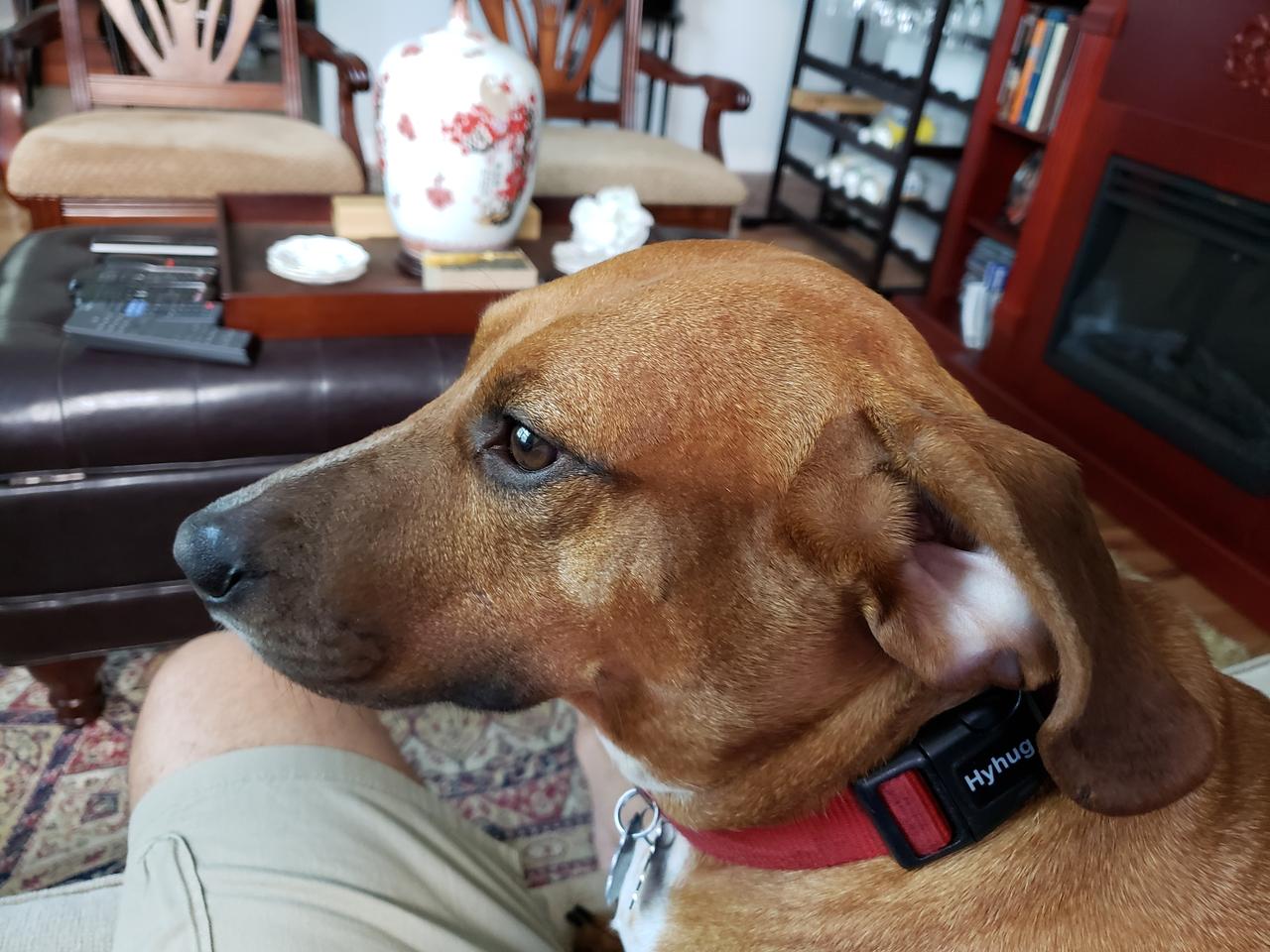 Profile photo 10 of 11