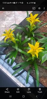 Room for rent in Sterling, VA $1400, condo