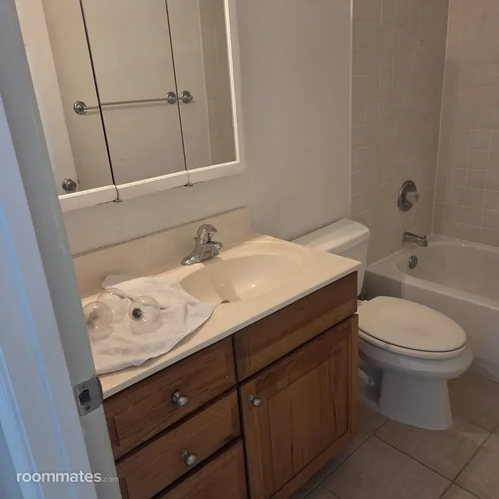 Room for rent in Ashburn, VA $1100, townhouse