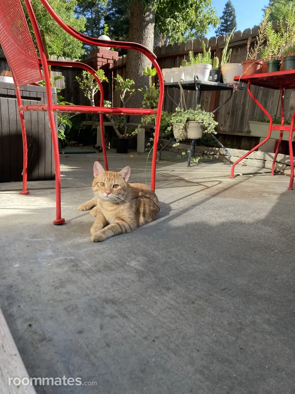 Profile photo 2 of 5