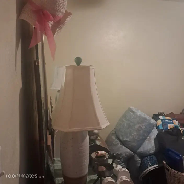 Room for rent in Elyria, OH $400, house