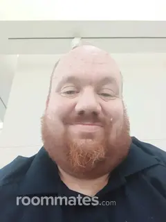 Roommate looking Kokomo, IN, $600