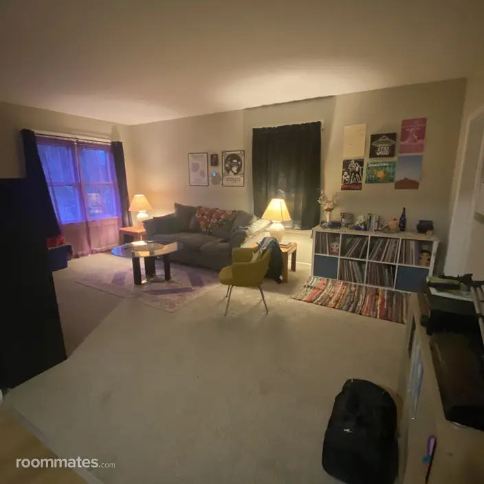 Room for rent in Ferguson MO $550, house
