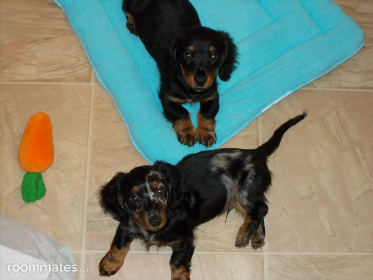 Profile photo 9 of 12